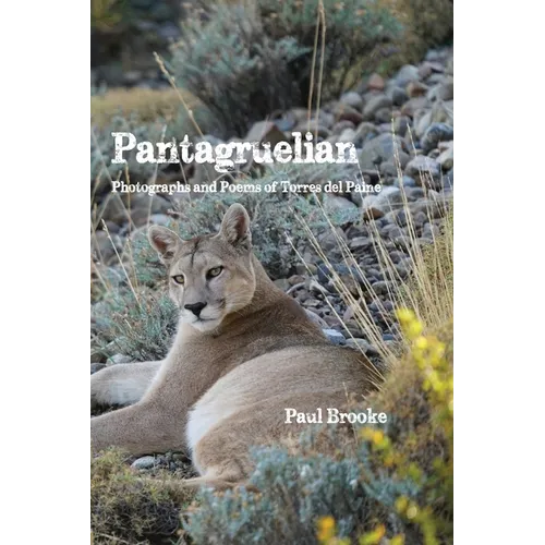 Pantagruelian: Photographs and Poems of Torres del Paine