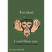 I'm Blind I Can't Hear You: A Guide to Visual Listening