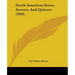 North American Bows, Arrows, And Quivers (1894)
