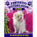 Fantastic Picture Book of Dogs. 40 Color Photos of Dogs: Picture Book Gift for Seniors/Adults & Alzheimer's/Dementia Patients.