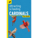 Attracting & Feeding Cardinals