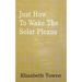 Just How To Wake The Solar Plexus