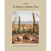 At Home in Joshua Tree: A Field Guide to Desert Living