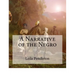 A Narrative of the Negro: (Large Print Edition)