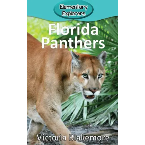 Florida Panthers