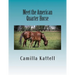 Meet the American Quarter Horse