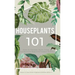 Houseplants 101: How to choose, style, grow and nurture your indoor plants.