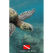 Diver's Log Book: scuba diving log book 100 dives