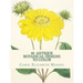 40 Antique Botanical Designs to Color