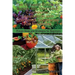 The Ultimate Guide To Raised Bed, Vegetable, Companion, Greenhouse And Container Gardening For Beginners: Proven Steps and Strategies for Beginners