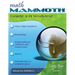 Math Mammoth Grade 2-B Worktext