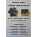 Calliope and micro: bit: Examples for both