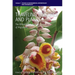 Traveling Cultures and Plants: The Ethnobiology and Ethnopharmacy of Human Migrations