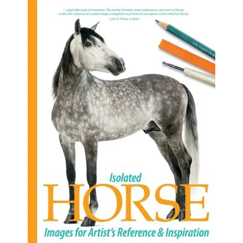 Isolated Horse Images for Artist's Reference and Inspiration