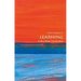 Learning: A Very Short Introduction