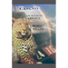 CASINO. An Illicit Legacy