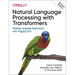 Natural Language Processing with Transformers, Revised Edition