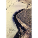 Fractured Ecologies