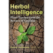 Herbal Intelligence: Plant Teachers and the Return of Viriditas