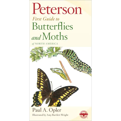 Peterson First Guide to Butterflies and Moths