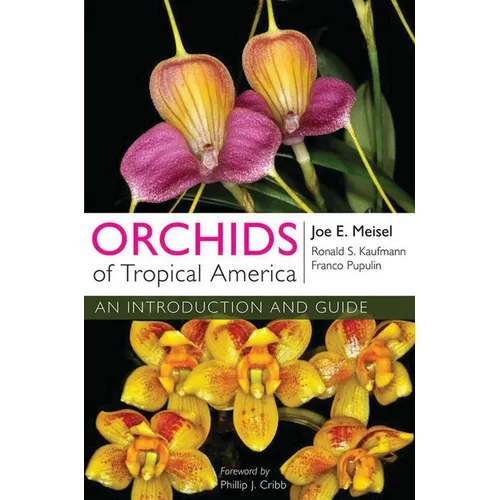 Orchids of Tropical America: An Introduction and Guide