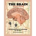 The Brain; Second edition