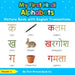 My First Hindi Alphabets Picture Book with English Translations: Bilingual Early Learning & Easy Teaching Hindi Books for Kids