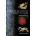 Magical House Protection: The Archaeology of Counter-Witchcraft