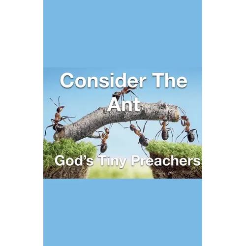 Consider The Ant - God's Tiny Preachers