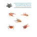 Essential Permit Patterns: 5 flies that must be in your box for chasing the "Black Fin Devils"