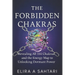 The Forbidden Chakras: Revealing ALL 114 Chakras and The Energy Map to Unlocking Dormant POWER