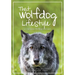 That Wolfdog Lifestyle: at Yamnuska Wolfdog Sanctuary