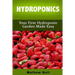 Hydroponics: Your First Hydroponic Garden Made Easy