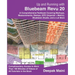 Up and Running with Bluebeam Revu 20: For Revu Standard