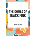 Souls of Black Folk (an African American Heritage Book)