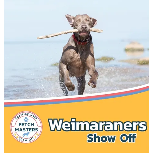 Weimaraners Show Off