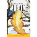 Once In A Lifetime Leaf: An "I believe in You" book
