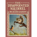 The Disappointed Squirrel - Illustrated by Marguerite Kirmse