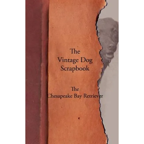 The Vintage Dog Scrapbook - The Chesapeake Bay Retriever