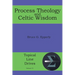 Process Theology and Celtic Wisdom