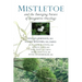 Mistletoe and the Emerging Future of Integrative Oncology