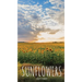 Sunflowers 2021 Diary: Slim Pocket Calendar, Week to View, Monthly Planner, Date Book Notepad with Holidays Contacts Passwords