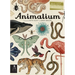 Animalium: Welcome to the Museum