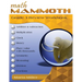 Math Mammoth Grade 3 Review Workbook