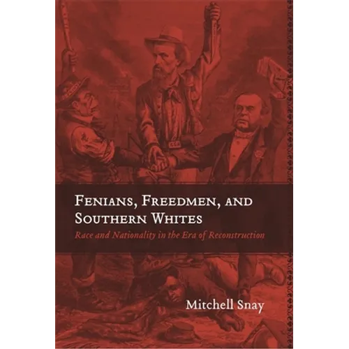 Fenians, Freedmen, and Southern Whites: Race and Nationality in the Era of Reconstruction