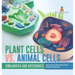 Plant Cells vs. Animal Cells: Similarities and Differences Cells for Kids Science Book for Grade 5 Children's Biology Books