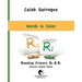 Reading Primers R0 & R1