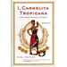 I, Carmelita Tropicana: Performing between Cultures