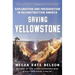 Saving Yellowstone: Exploration and Preservation in Reconstruction America
