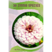 30 Zinnia species: Make the right choice